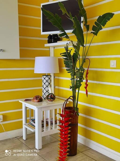 Bungalow Alnamaka : Vue Mer - Piscine - Plage A 5Mn Pointe-Noire Zewnętrze zdjęcie